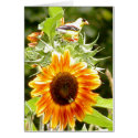Sunflower & Yellow Bird & Bee cards by Trudy2 Sunflower & Yellow Bird & Bee cards