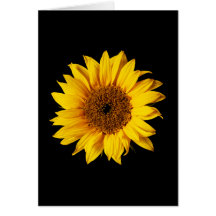 Sunflower Yellow on Black - Customized Sun Flowers Greeting Cards