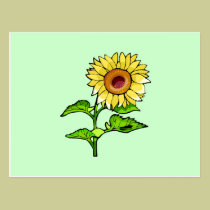 Sunflower Yellow postcards