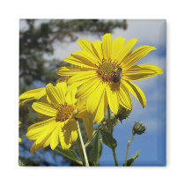 sunflowernbumblebee magnets by minx267 sunflowernbumblebee magnets