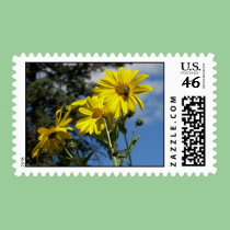 sunflowernbumblebee postage