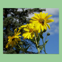sunflowernbumblebee posters