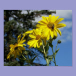sunflowernbumblebee posters