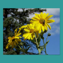 sunflowernbumblebee posters