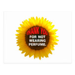 SunflowerNoPerfume Post Cards