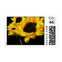 Sunflowers #3 stamp