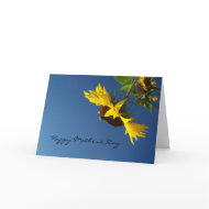 Sunflowers Against a Blue Sky card