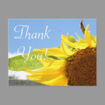 Sunflowers and Blue Skies postcards by sharpcreations Sunflowers and Blue Skies postcards