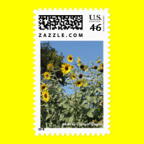 Sunflowers at the Garden postage