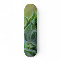 Sunflowers Buds Green skateboards
