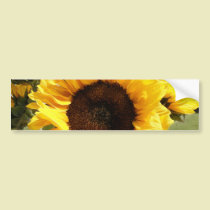 Sunflowers bumper stickers