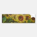 Sunflowers Bumper Stickers