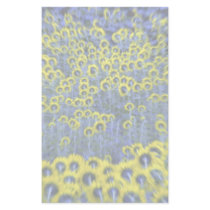 Sunflowers, Burnstown, Ontario, Canada at the Corn Custom Stationery
