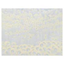 Sunflowers, Burnstown, Ontario, Canada  flowers Personalized Letterhead
