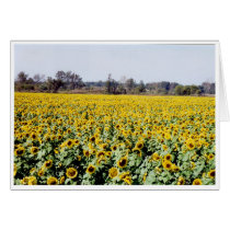 Sunflowers cards