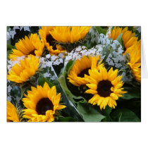 Sunflowers cards
