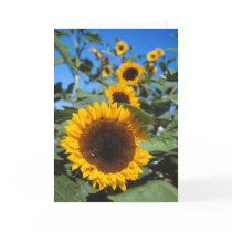 Sunflowers card