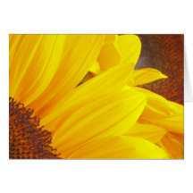 Sunflowers Card