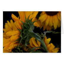 Sunflowers Card