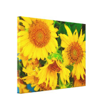 Sunflowers City Market KC Farmer's Market Stretched Canvas Print