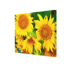 Sunflowers City Market KC Farmer's Market Gallery Wrapped Canvas