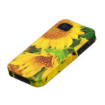 Sunflowers City Market KC Farmer's Market Case-Mate iPhone 4 Case