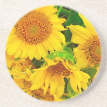 Sunflowers City Market KC Farmer's Market Beverage Coaster