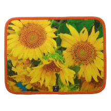 Sunflowers City Market KC Farmer's Market Organizers