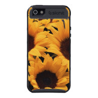 Sunflowers Closeup Case For iPhone 5