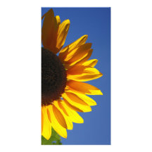 Sunflowers Custom Photo Card
