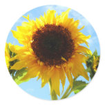 Sunflowers Envelope Seals or Stickers