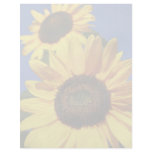 Sunflowers Flyer Design