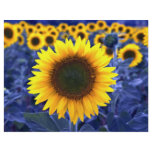 Sunflowers Flyer
