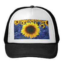 Sunflowers hats