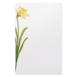 Sunflowers Illustration by Kate Greenaway Stationery Design