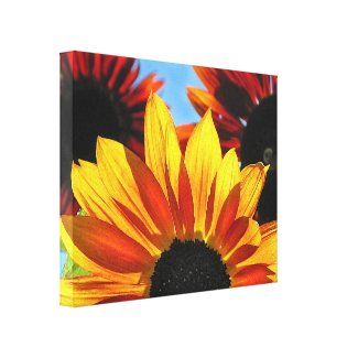 Sunflowers in Backlight Gallery Wrapped Canvas