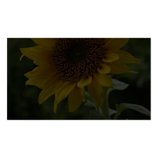 Sunflowers In Field Business Card Template (back side)