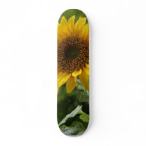 Sunflowers In Field skateboards by lifesphere Sunflowers In Field skateboards