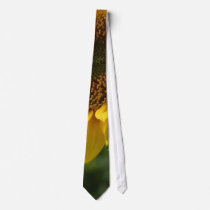 Sunflowers In Field ties