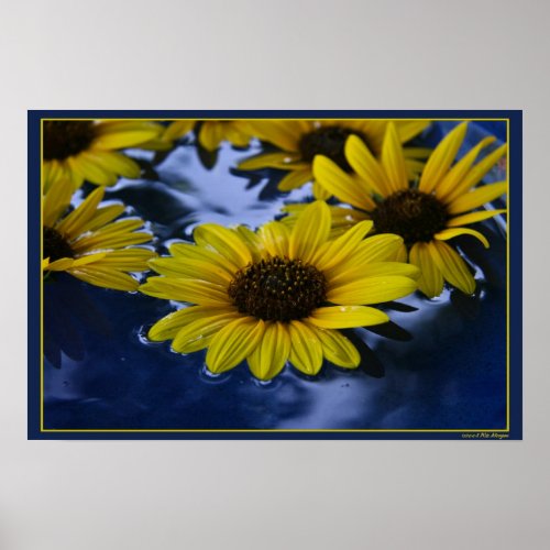 Sunflowers in the Birdbath print