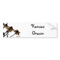 Sunflowers: Kansas Grown bumper stickers by SuanSKatra Sunflowers: Kansas Grown bumper stickers