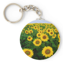 Sunflowers Key Chain