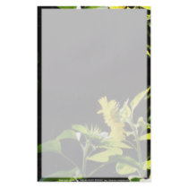 sunflowers kiss flyers by dlmtleArt sunflowers kiss flyers
