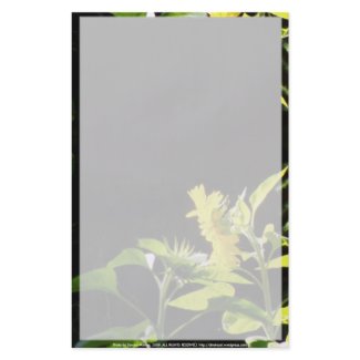 sunflowers kiss flyer