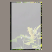 sunflowers kiss flyers by dlmtleArt sunflowers kiss flyers
