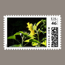 sunflowers kiss stamps