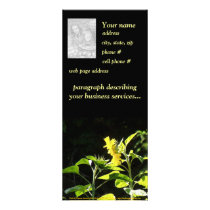 sunflowers kiss rack cards by dlmtleArt sunflowers kiss rack cards