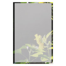 sunflowers kiss stationery by dlmtleArt sunflowers kiss stationery