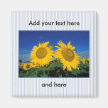 Sunflowers Magnet