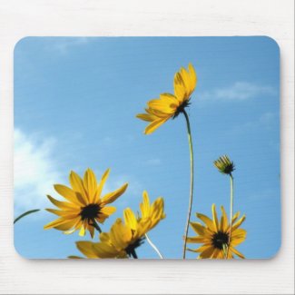 Sunflowers Mouse Pad